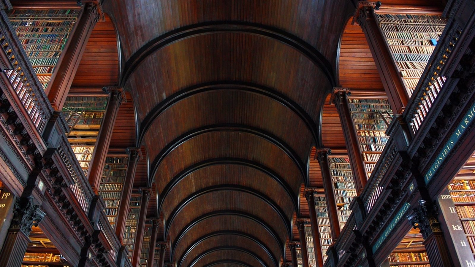 The vaulted wooden ceiling and shelves of a grand old library